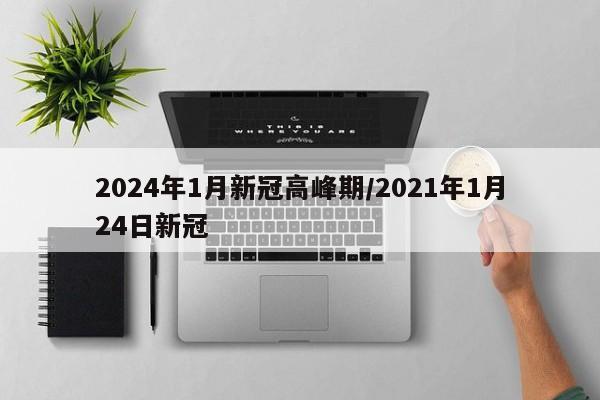 2024年1月新冠高峰期/2021年1月24日新冠